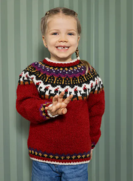 Hovedbilde Jólaköttur - Digital oppskrift