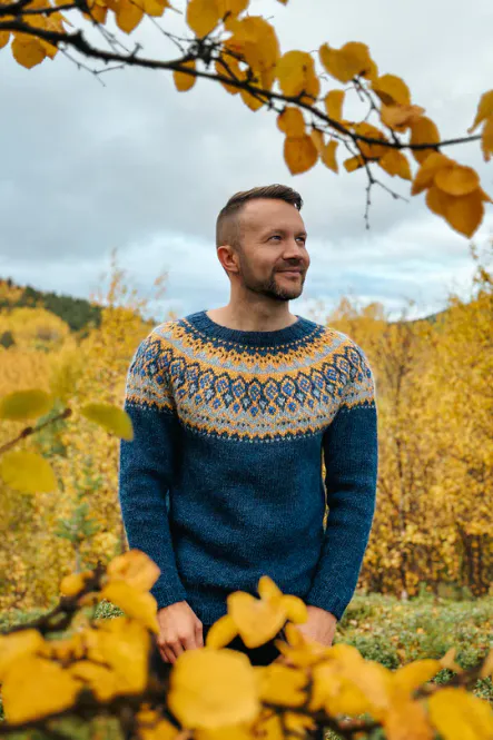 Hovedbilde 1927 Genser Herre - garnpakke