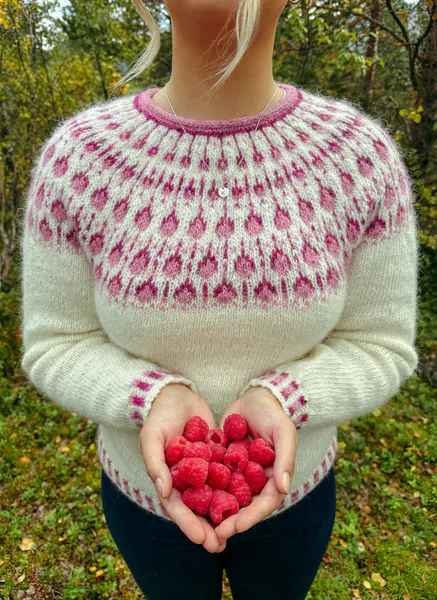 Hovedbilde Bringebær Genser - garnpakke i Fjallalopi