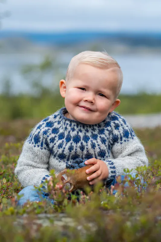Blåbær Genser Mini - oppskrift