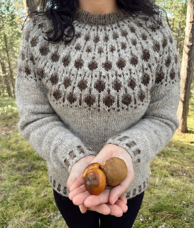 Eikenøtt Genser - garnpakke