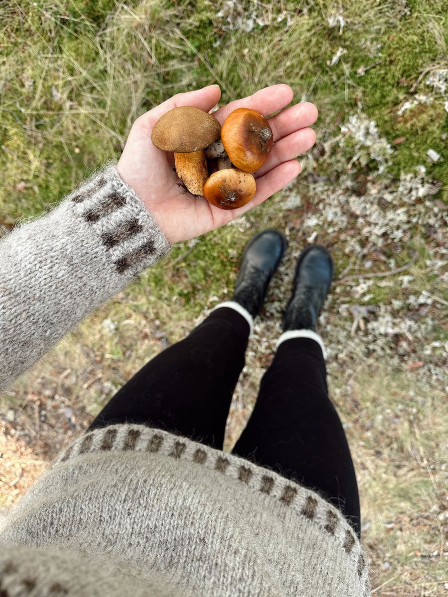 Eikenøtt Genser - garnpakke